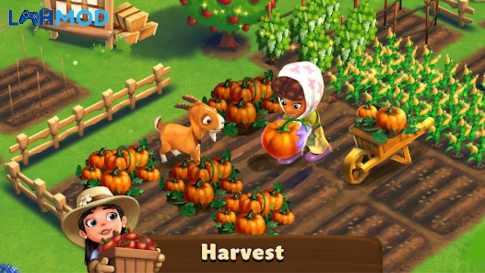 Phiên bản mobile offline của FarmVille mang đến trải nghiệm quản lý trang trại truyền thống