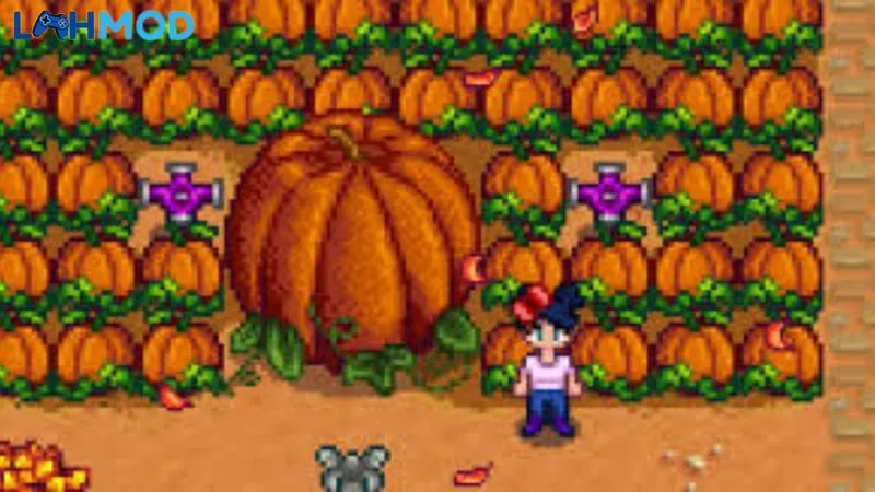 Mùa thu trồng gì Stardew Valley - Bí ngô nổi bật với giá trị bán cao
